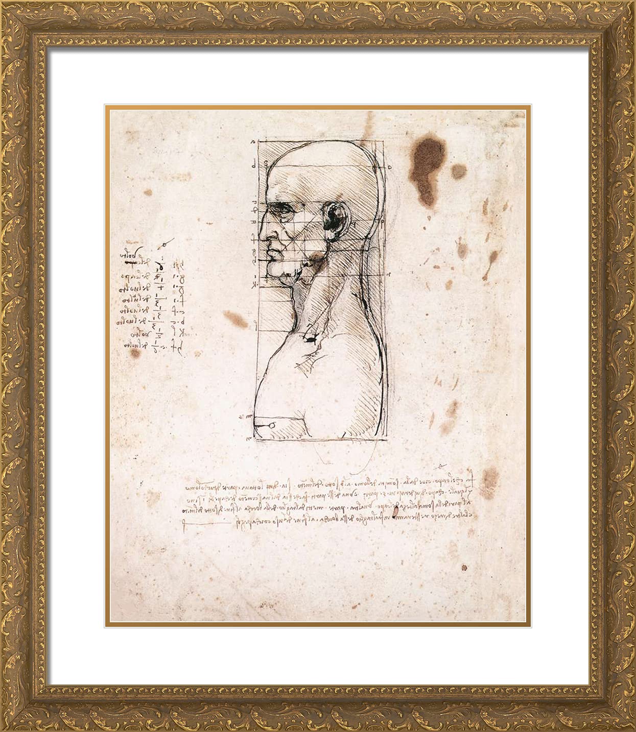 Leonardo Da Vinci Bust of a Man in Profile Framed Art Print - 20x23 Inch Gold Ornate Frame with Double Matting - Renaissance Wall Decor for Living Room, Office & Study