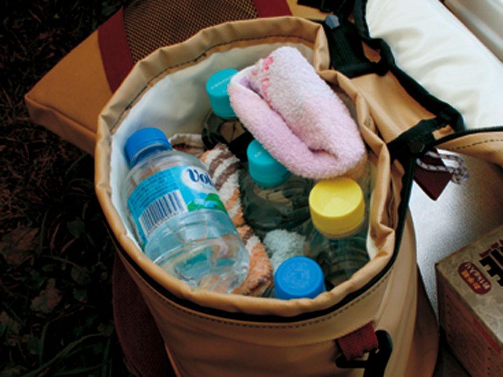 Premium Soft Cooler 11 FP 111 - Insulated Lunch Bag for Work, Picnics & Outdoor Adventures | Leakproof & Lightweight Cooler for Food, Drinks & Beach Essentials