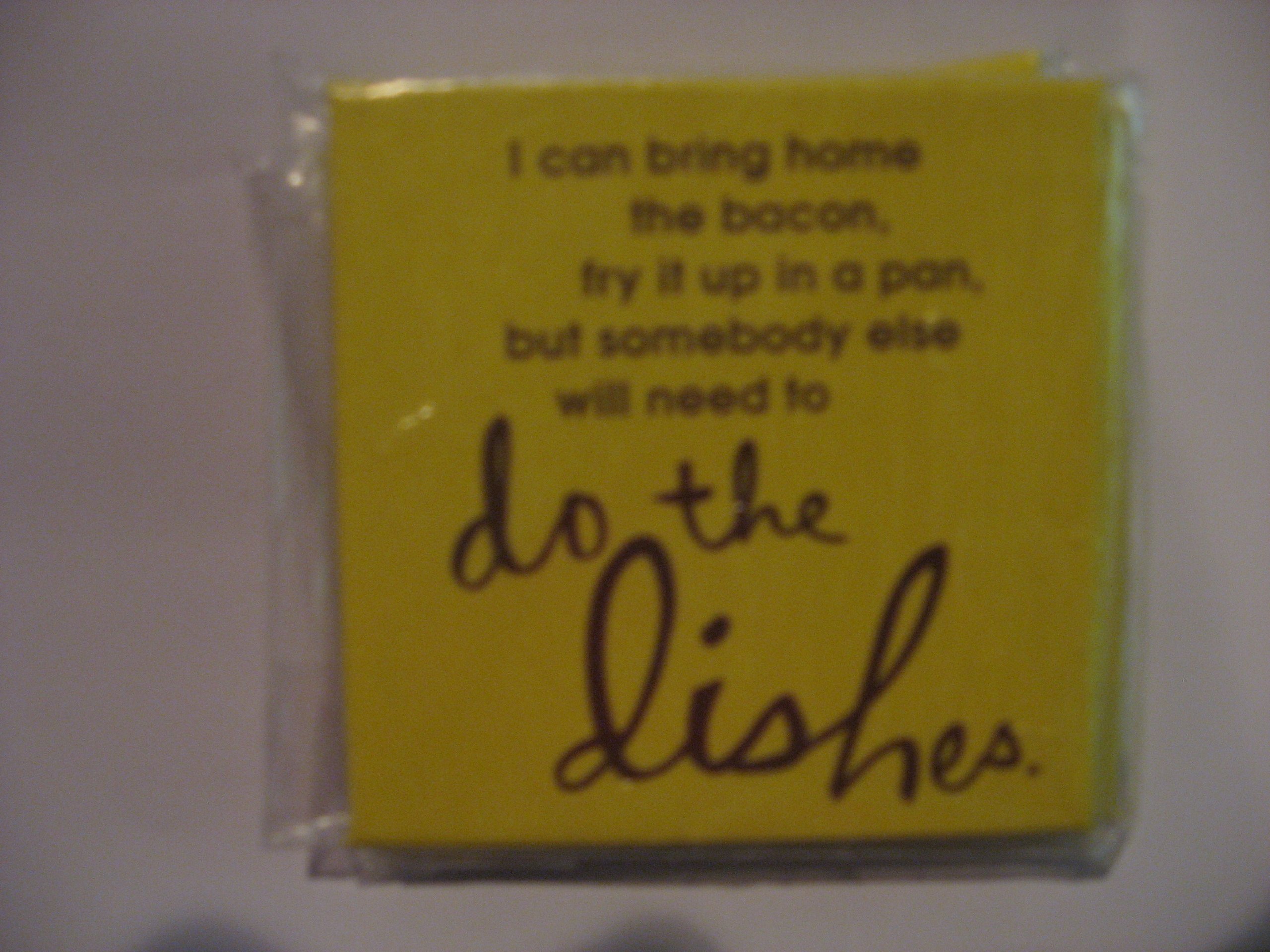 Hallmark 'I Can Bring Home the Bacon' Funny Fridge Magnet - Perfect for Office, Kitchen & Home Decor (English Quote)