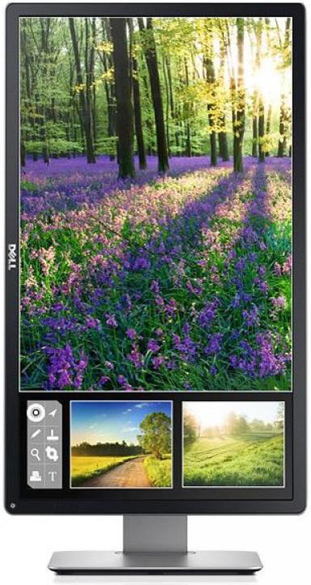 Dell P2414H 24