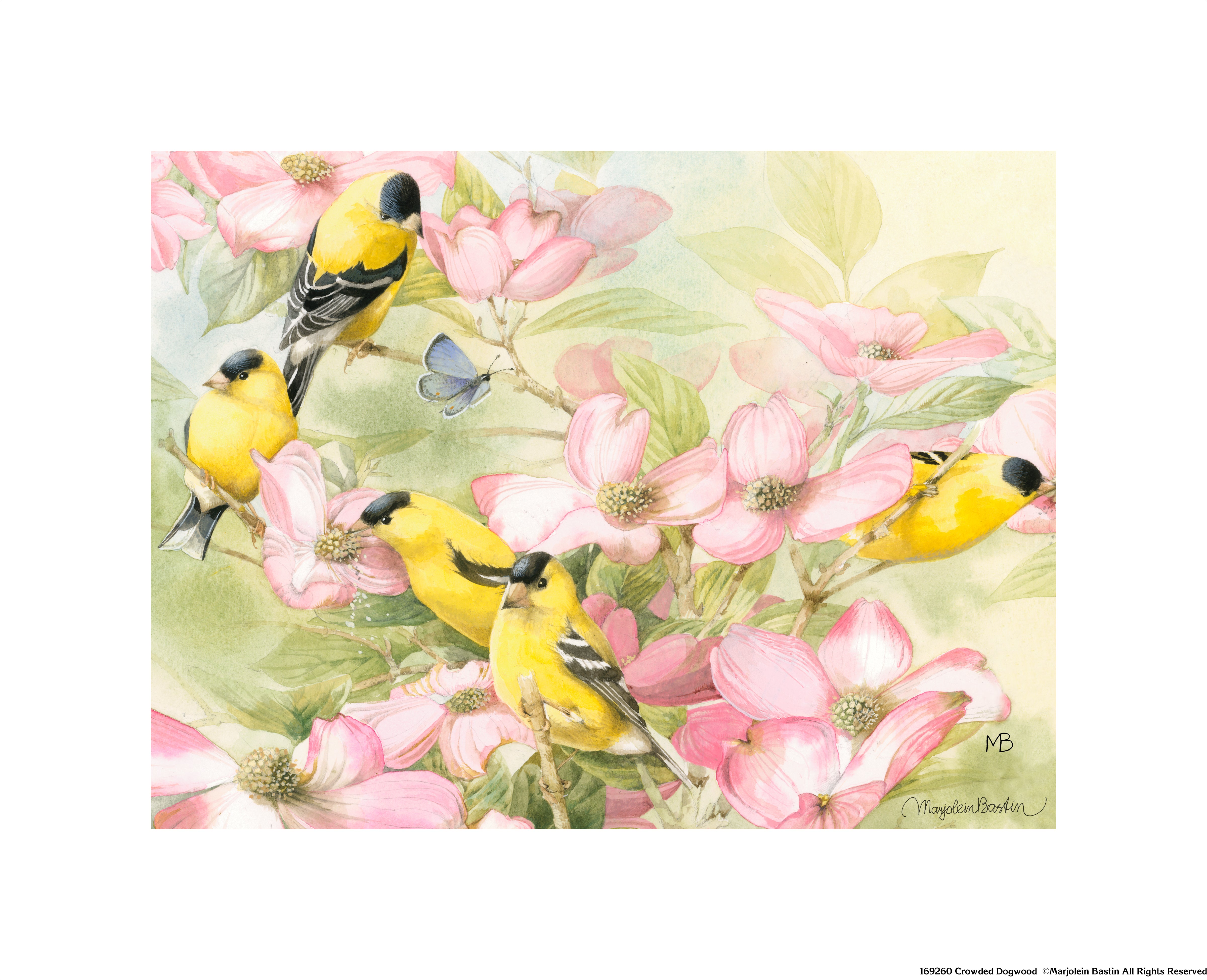 Beautiful Dogwood Flower Art Prints - Handmade Canvas Wall Decor for Living Room, Bedroom & Office - Nature Inspired Home Decor