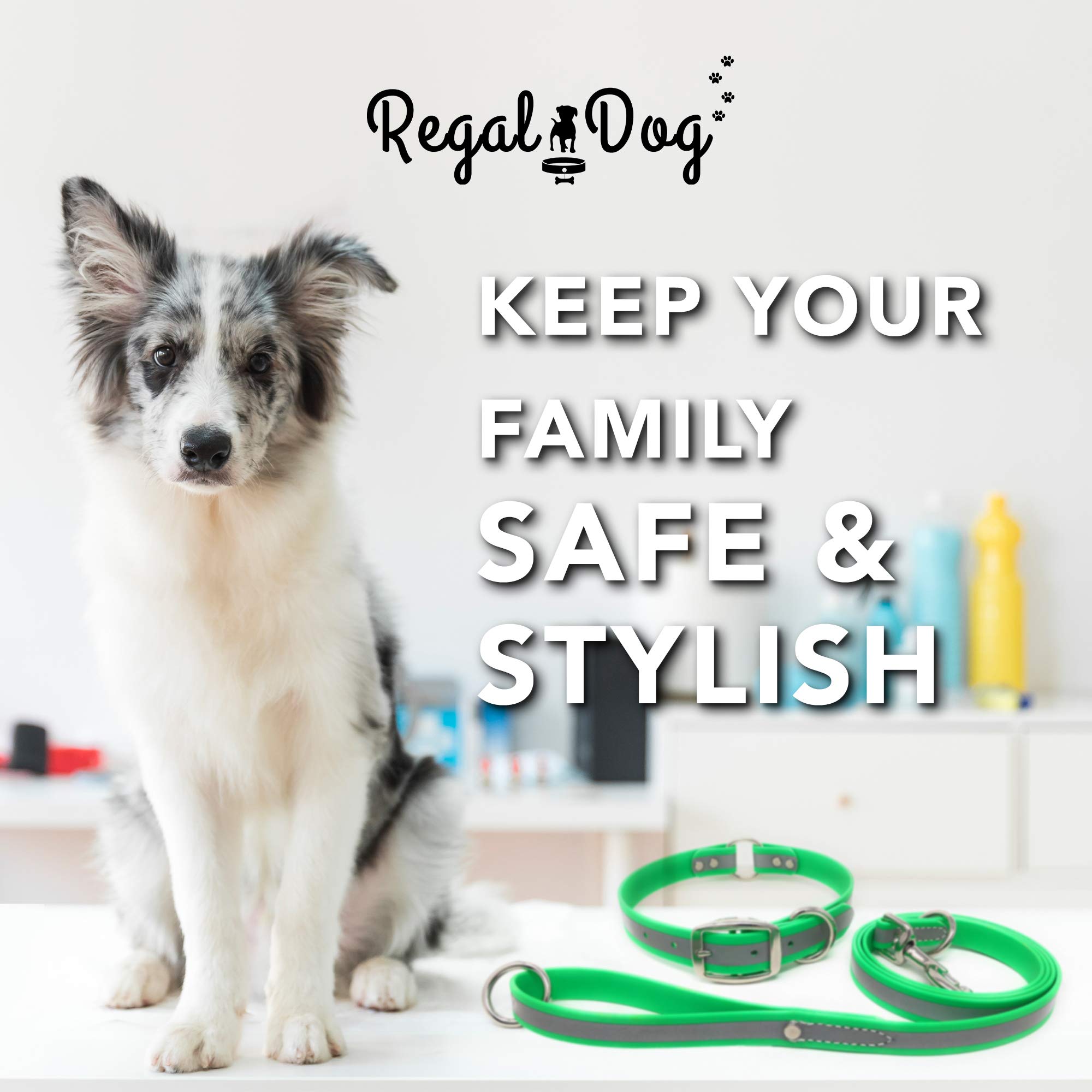 Premium Reflective Dog Collar and Leash Set - Waterproof Biothane Training Collar with Heavy Duty D-Ring & 5ft Leash for Small Dogs (Green) - Perfect for Night Walks, Jogging & Outdoor Adventures - Also Available for Medium & Large Breeds
