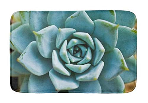 POPSholder Super Absorbent Plush Bath Mat - Non-Slip Backing, 18x30 Inches, Soft Cozy Bathroom Rug for Indoor Use - Perfect for Bathroom Decor, Spa Relaxation & Home Comfort