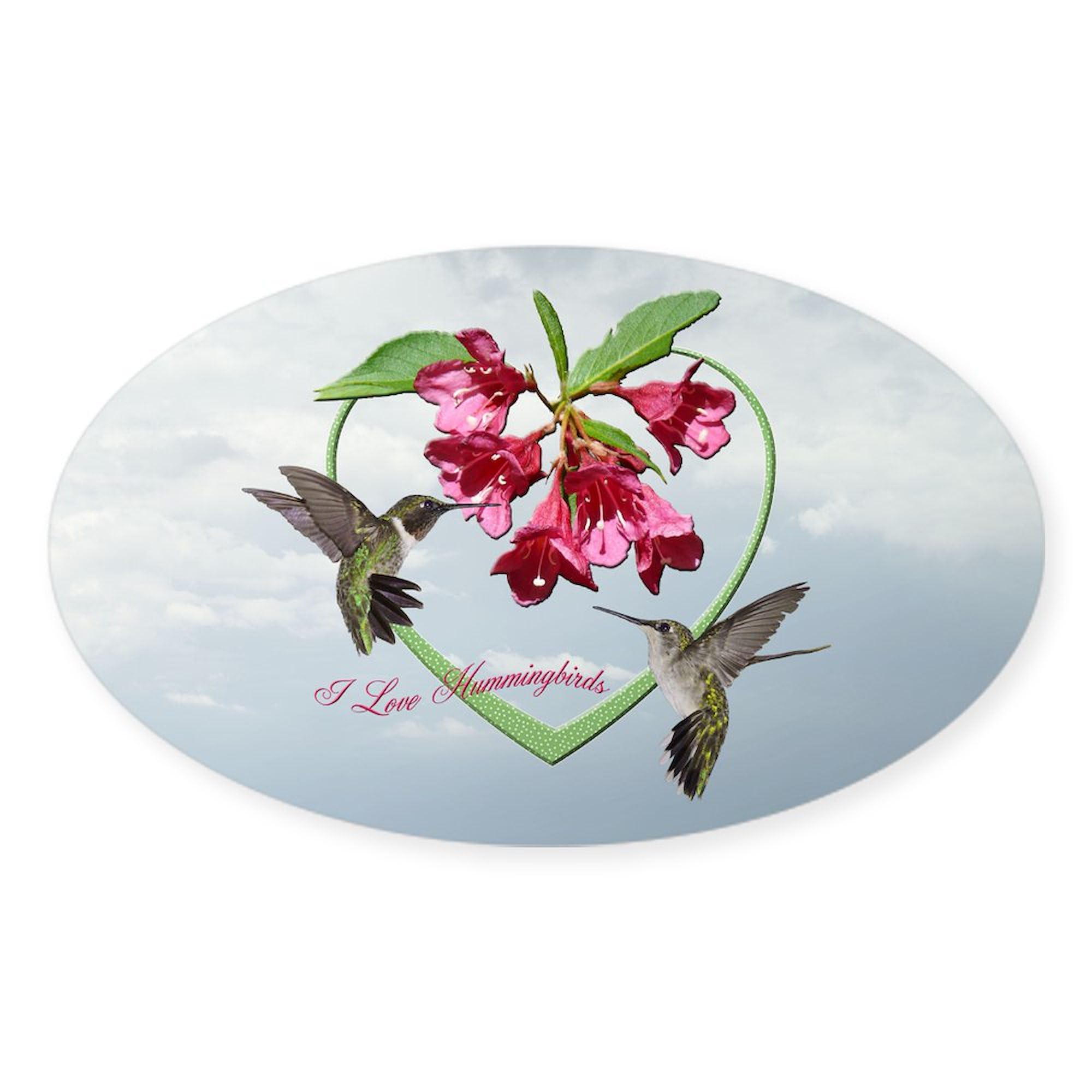 I Love Hummingbirds Oval Car Bumper Sticker - Waterproof Vinyl Decal for Cars, Laptops, Windows | Perfect for Bird Lovers & Nature Enthusiasts