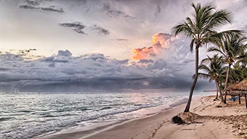 Tropical Beach N164