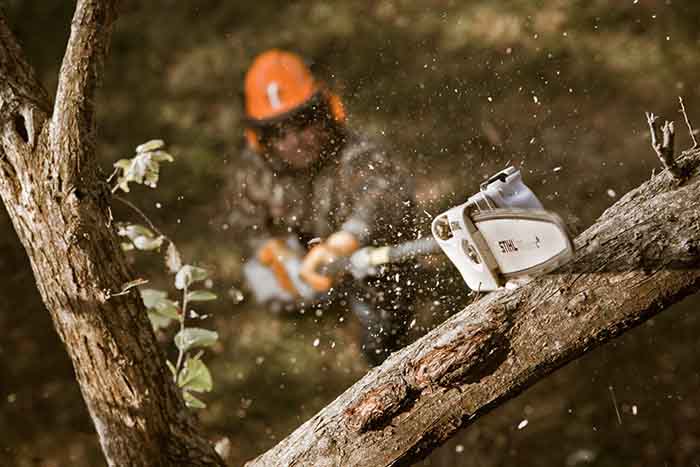 STIHL HT 56 C E Long Reach Pole Pruner with Easy2Start System - Lightweight Gas Powered Tree Trimmer for High Branches - Perfect for Landscaping, Yard Maintenance & Professional Arborist Work