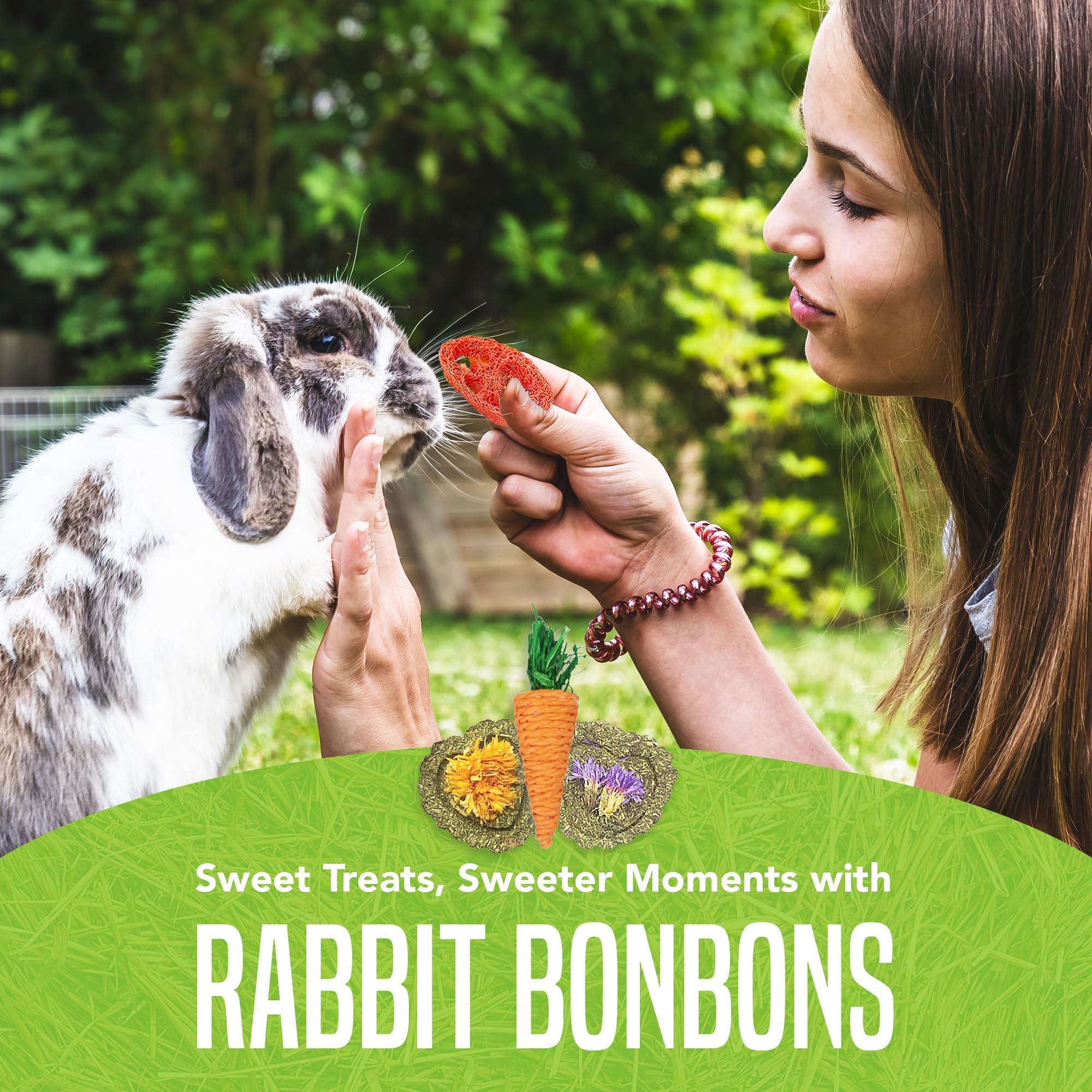 SunGrow Bunny Pocket Bonbons - Delicious & Healthy Rabbit Treats for Dental Care & Chewing Needs - 12 Pack - Perfect for Playtime, Training & Bonding with Your Pet Bunny