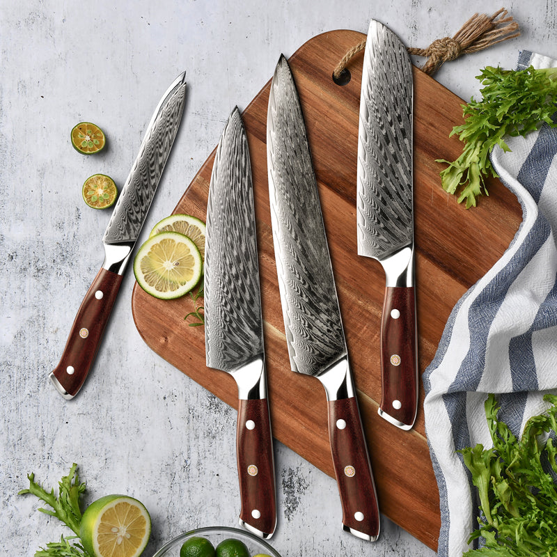 Premium 4-Piece Splendor Knife Set - VG10 Damascus Steel Blades with Pakkawood Handle & Sheath - Perfect for Home Chefs, Camping & Outdoor Cooking