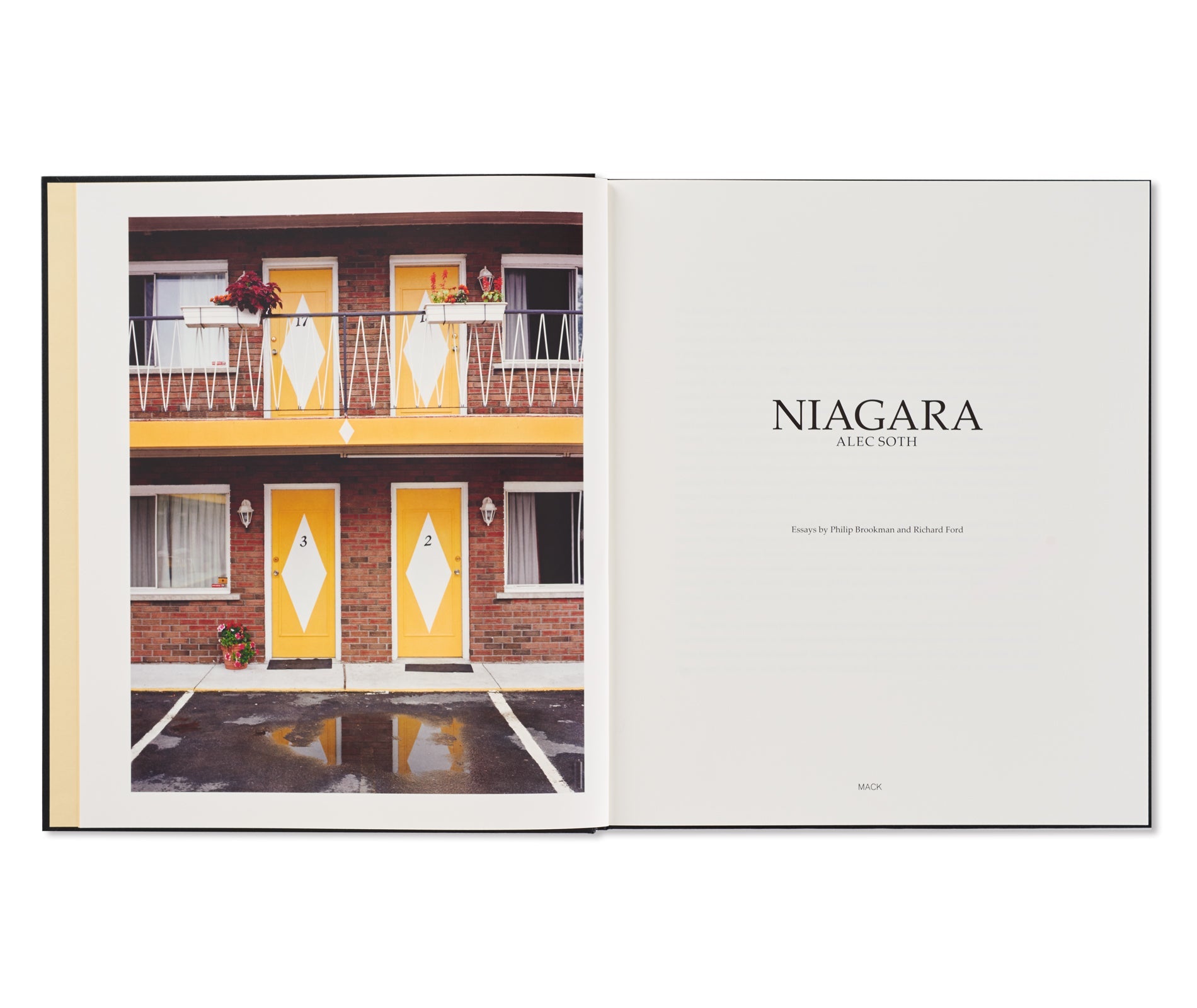 Alec Soth NIAGARA Photography Book - First Edition Second Printing - Perfect for Photography Collectors and Art Book Enthusiasts
