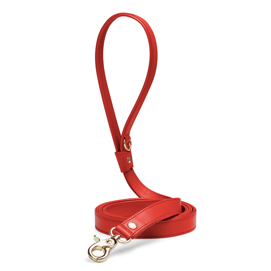 Vibrant Red 1 - Premium Quality for Home Decor, Gifts & Party Supplies | Perfect for Living Room, Bedroom & Special Occasions