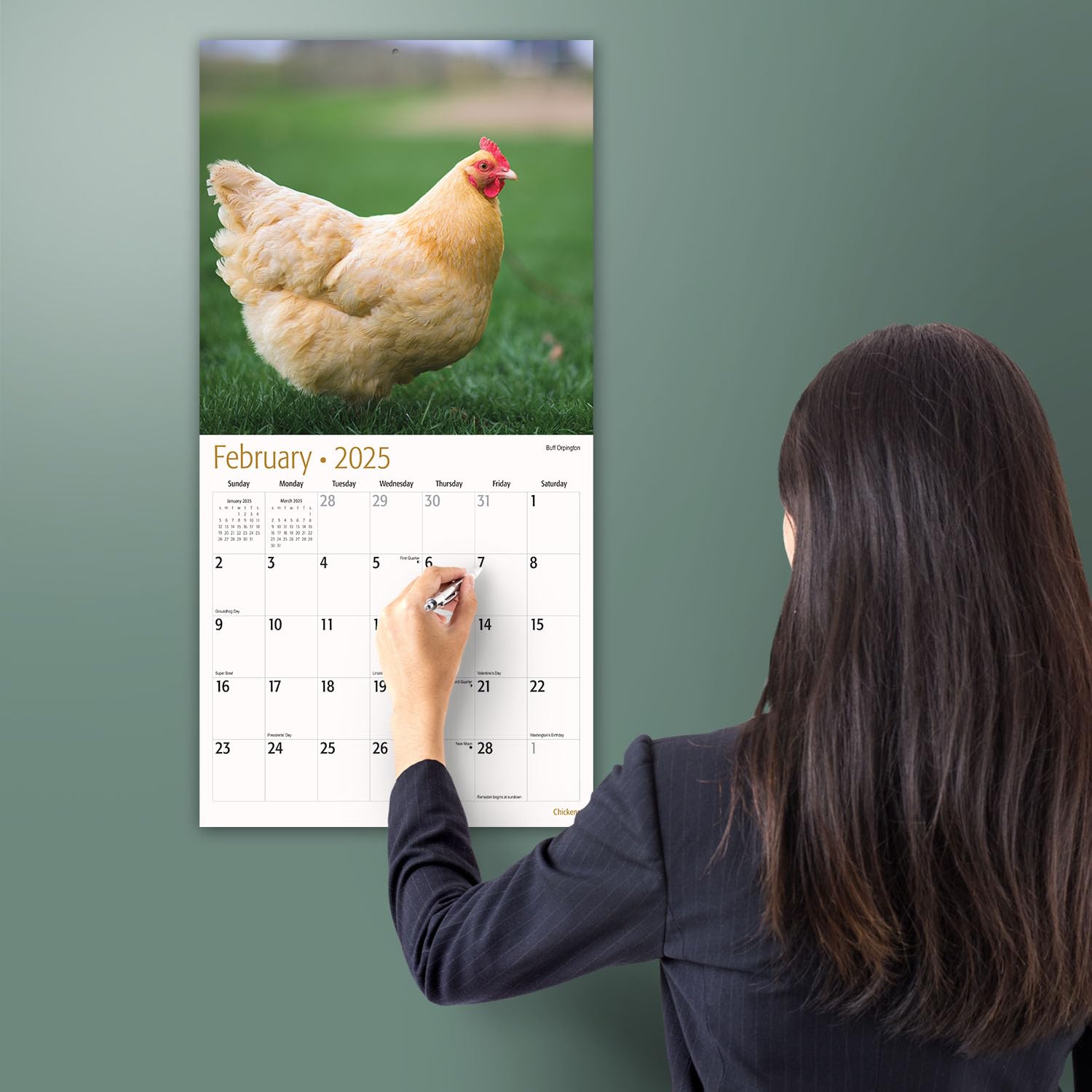 MICASA PRESS - 2025 Chickens Wall Calendar | 12