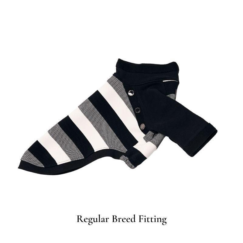 Zephyr Zebra Print Sweater for Women - Stylish Animal Print Pullover for Casual Wear & Fall Fashion