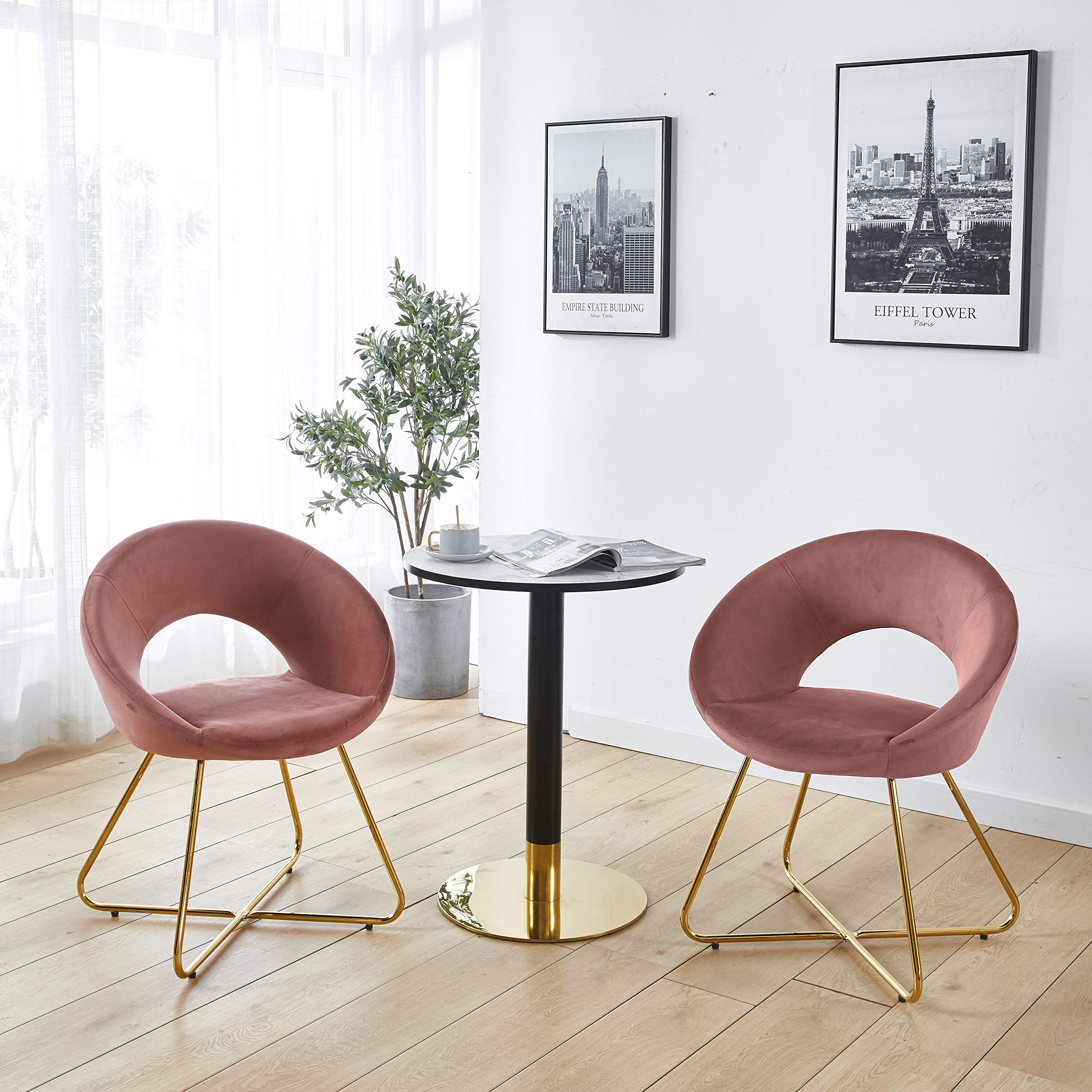 Modern Velvet Accent Chairs Set of 2 - Pink Upholstered Dining Armchairs with Golden Metal Legs for Living Room, Lounge & Leisure | Elegant Home Decor for Dining Area, Coffee Corner & Reading Nook