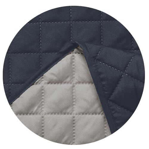 Dark Blue/Light Gray