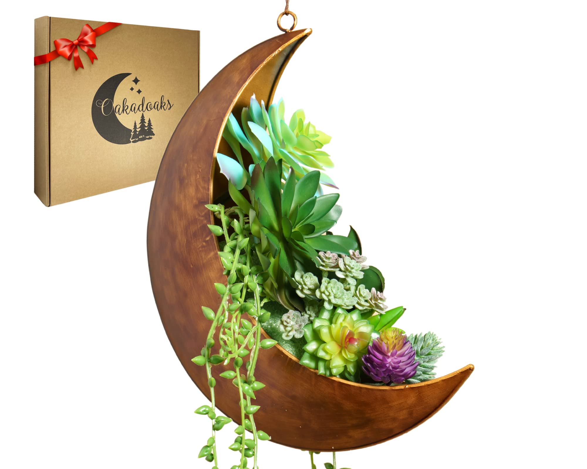 Moon Shaped Hanging Planter - Unique Boho Plant Holder for Succulents, Air Plants & Cactus - Perfect Hippie Witchy Home Decor & Birthday Gift for Plant Lovers - Ideal for Indoor Gardens, Balcony Decor & Boho Bedroom Aesthetics