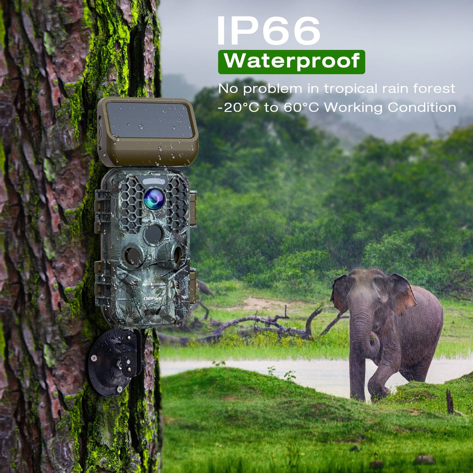 Campark T200 4K 30MP Solar Powered WiFi Bluetooth Trail Camera - Waterproof Wildlife Hunting Game Camera for Outdoor Security & Night Vision (USA/Canada Only) - Perfect for Backyard Monitoring, Hunting Trips & Nature Observation
