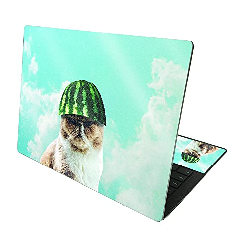 Watermelon Cat Hat