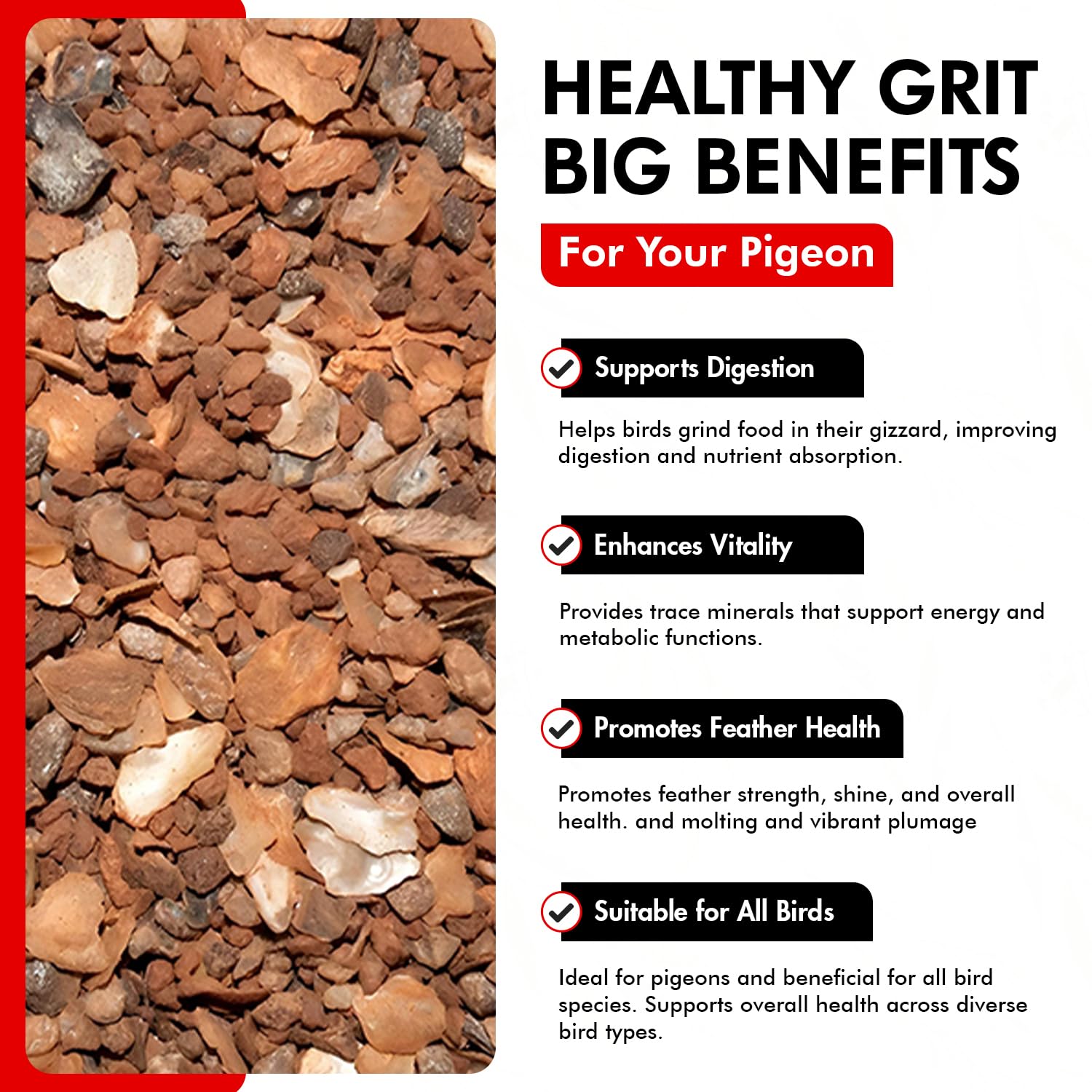 Morning Bird Pigeon Grit - Premium Natural Mineral Supplement for All Bird Species | Supports Strong Muscles & Bones | Easy to Digest Nutritious Bird Food (1.5 lbs) - Ideal for Pigeons, Doves, Parrots & Backyard Birds