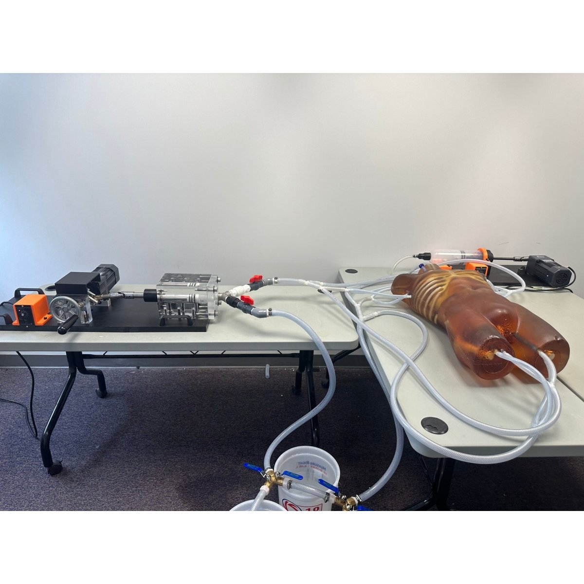 Dynamic Adult Torso Model with Heart Pump - Anatomical Teaching Tool for X-Ray, CT & Ultrasound Training - Perfect for Medical Education & Radiology Practice