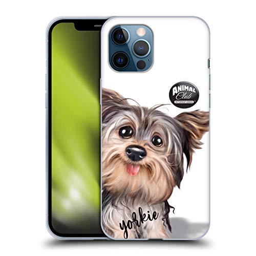 Yorkie