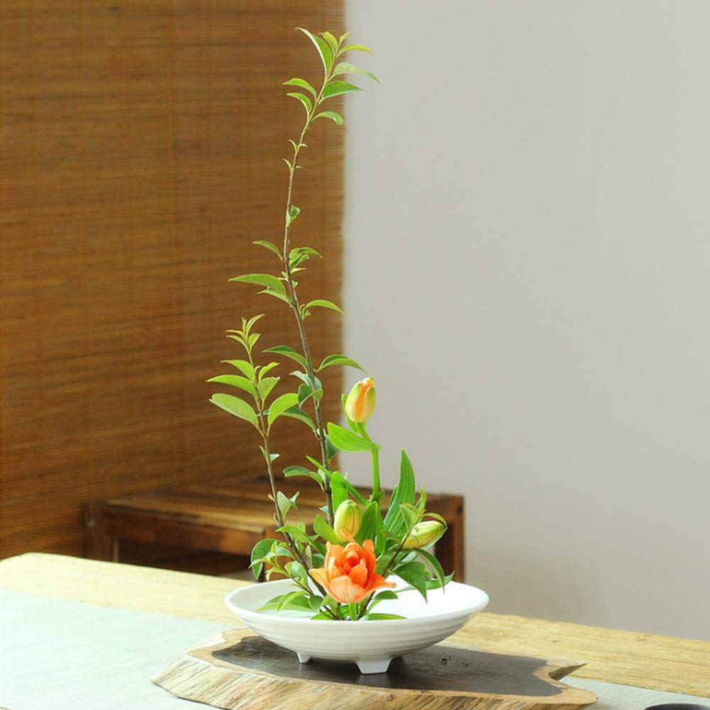 4-Piece WANDIC Flower Frog Set - Round Flower Holder, Needle Straightening Tool & Cleaning Brushes for Ikebana Floral Arrangement | Perfect for DIY Home Decor, Wedding Centerpieces & Japanese Flower Art