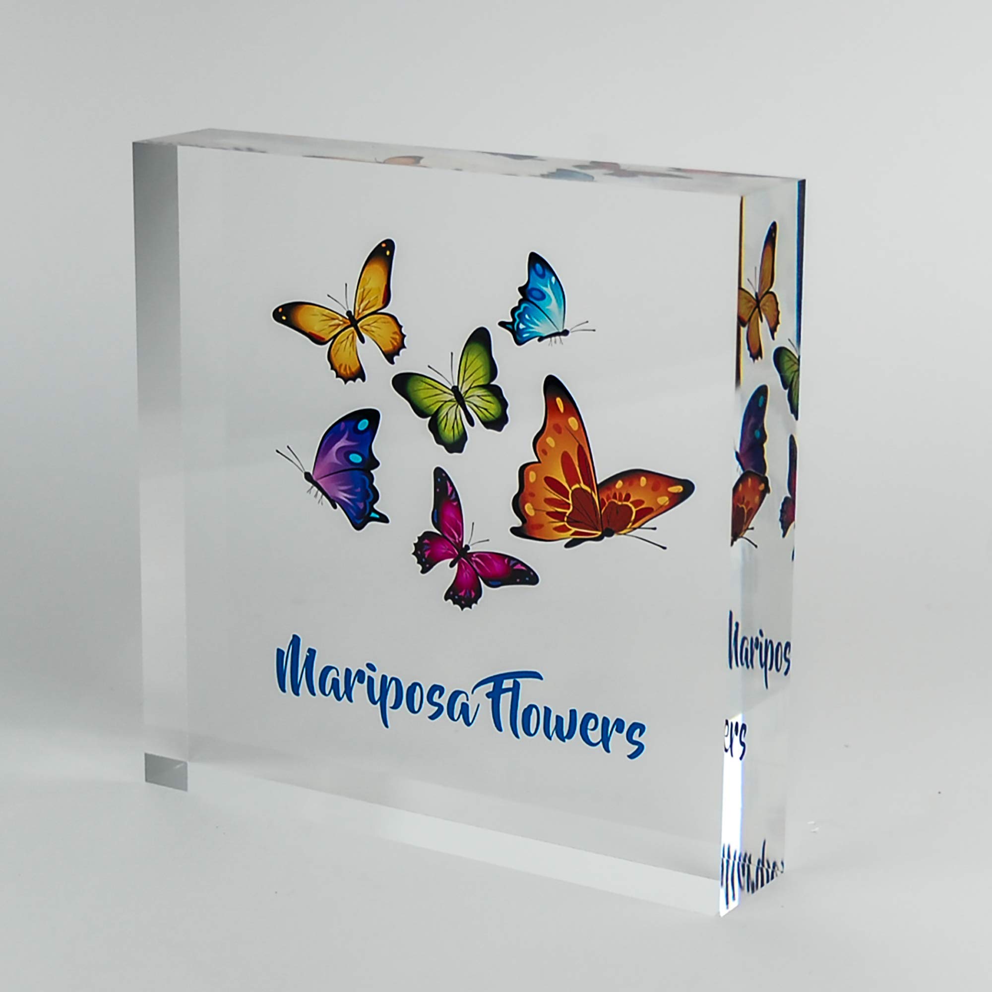 Custom Acrylic Name Plate for Office Desk - Personalized 6
