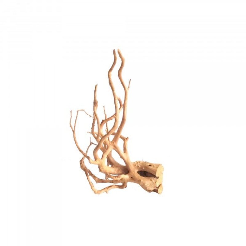 Natural Spider Wood for Aquarium Decor - Unique Driftwood for Fish Tank, Reptile Habitat & Terrarium - Perfect for Shrimp, Betta & Aquatic Plants - Enhances Natural Look & Water Quality