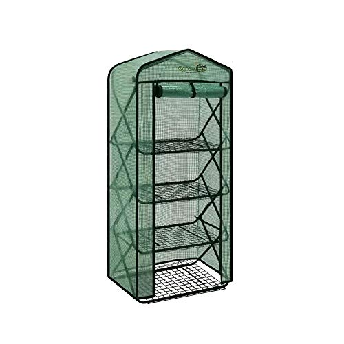 Green Cover