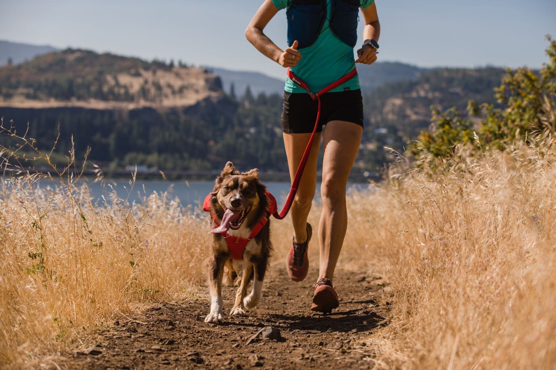 Ruffwear Minimalist Switchbak Dog Harness in Red Sumac - Lightweight & Durable for Hiking, Running & Outdoor Adventures