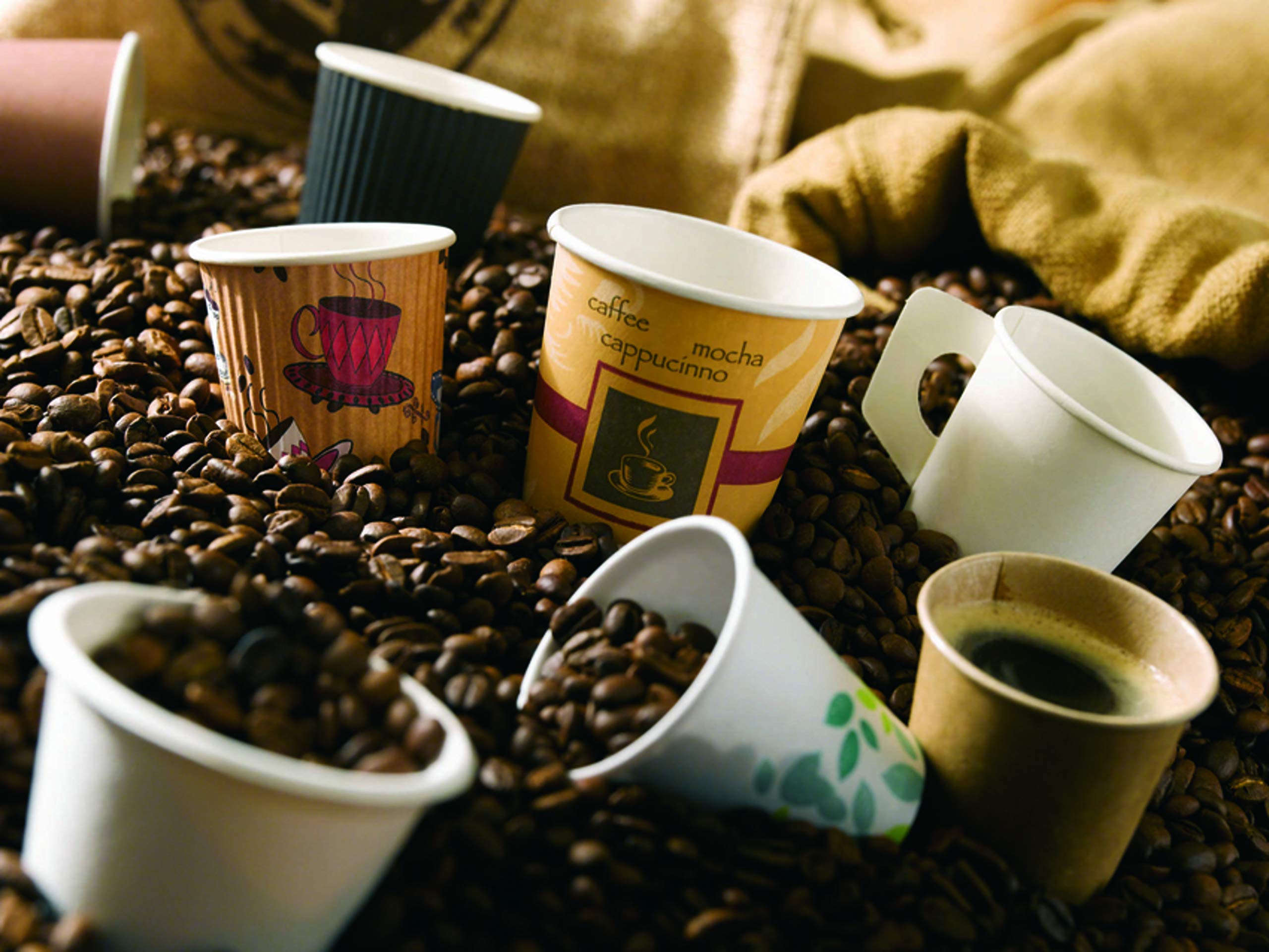 PacknWood 210GCR12T - 12 oz Disposable Corrugated Paper Cups for Hot Drinks - Eco-Friendly Teacup Design Coffee Cups - Bulk 500 Pack for Parties, Cafes & Office Use