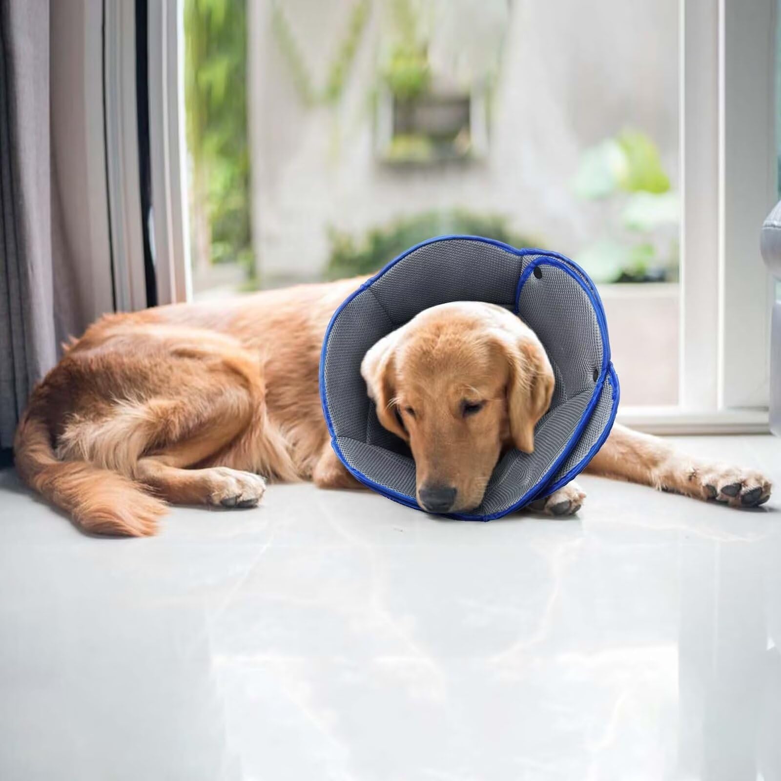 Adjustable Soft Dog Cone Collar for Post-Surgery Recovery - Comfortable Protective E-Collar for Large, Medium & Small Dogs & Cats - Prevents Licking Wounds, Stitches & Rashes (Blue) - Perfect for Spay/Neuter Surgery, Hot Spots & Skin Treatments