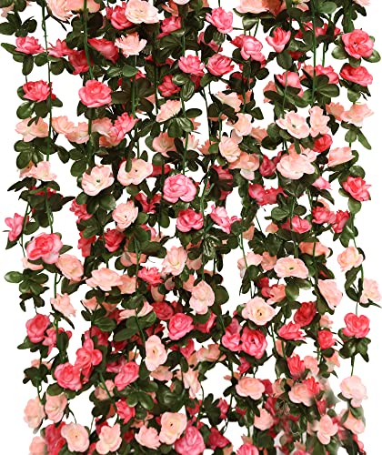 5pc-pink