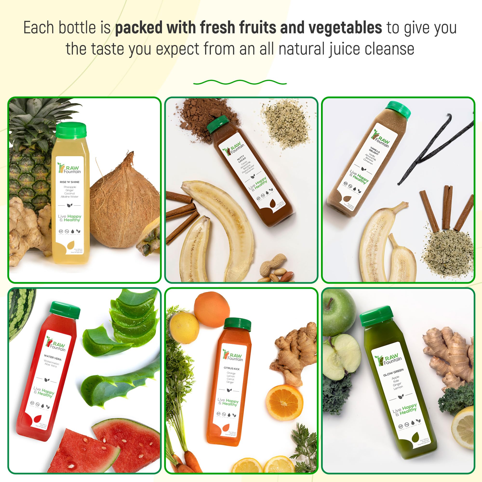 Raw Fountain 5-Day Protein Juice Cleanse - All Natural Cold Pressed Detox with Fruits, Vegetables, Vanilla & Chocolate Flavors - Energizing & Delicious (30 x 12oz Bottles + 3 Ginger Shots) - Perfect for Post-Workout Recovery, Weight Management & Healthy Lifestyle