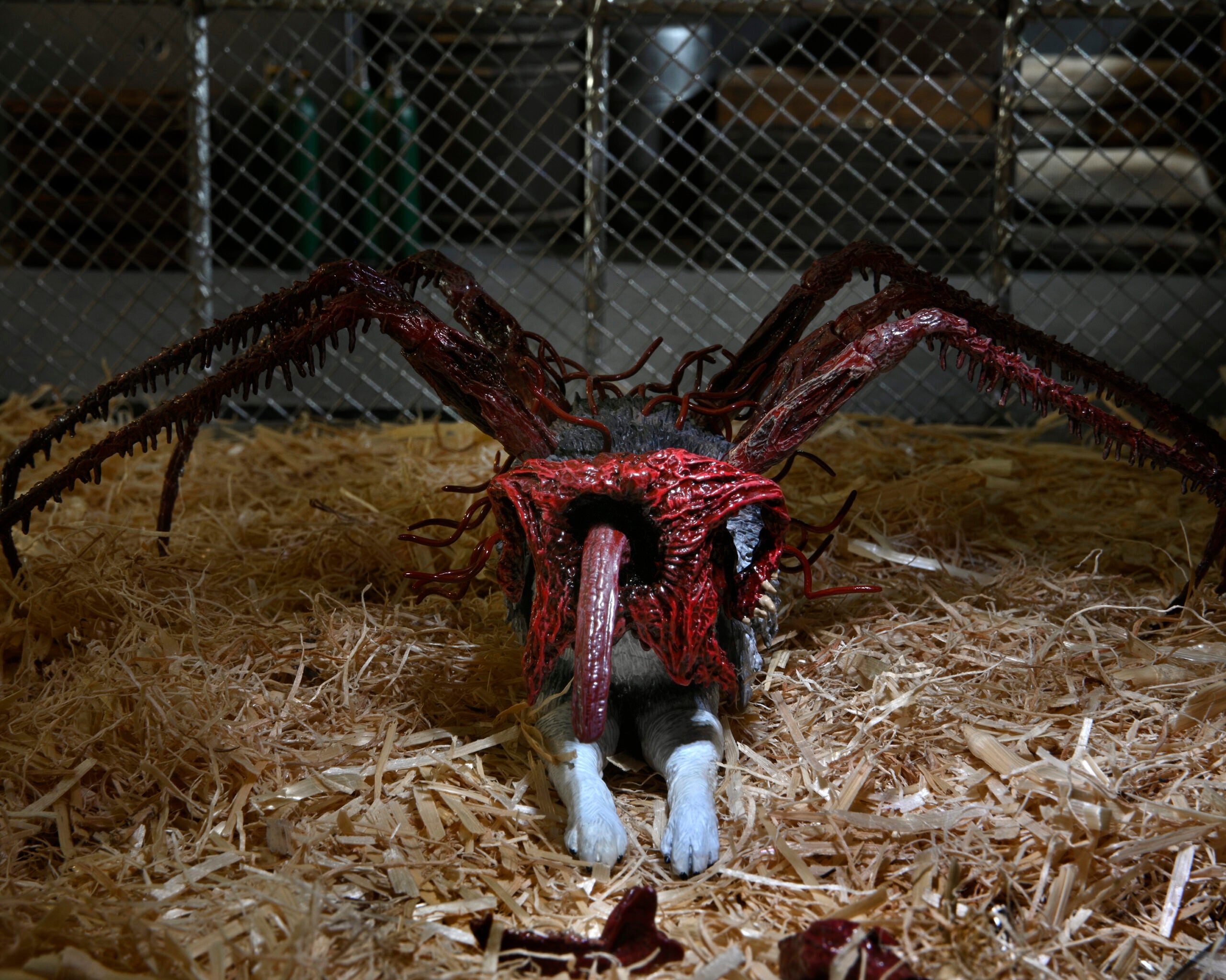 The Thing Ultimate Dog Creature Set - Halloween Pet Costume for Dogs, Scary Movie-Inspired Outfit - Perfect for Cosplay, Horror Parties & Pet Parades