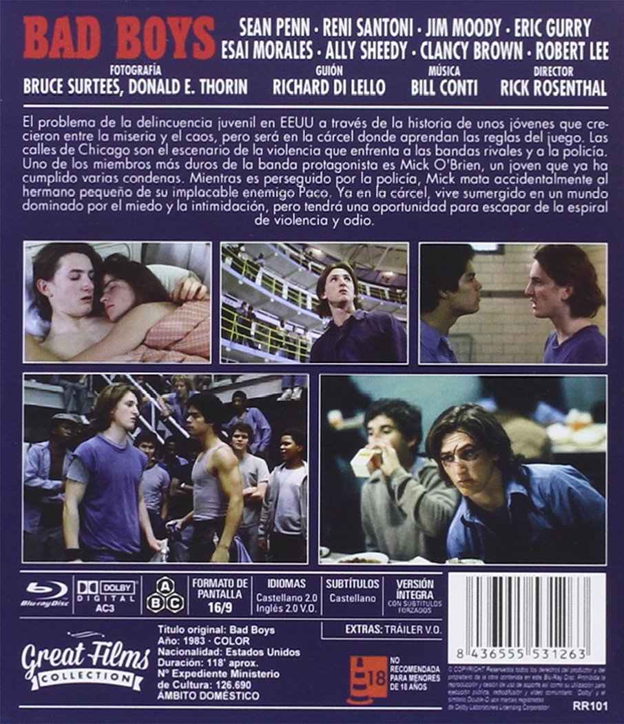 Bad Boys DVD - Spain Import (Multi-Language) - Action Comedy Movie for Movie Nights & Gifts
