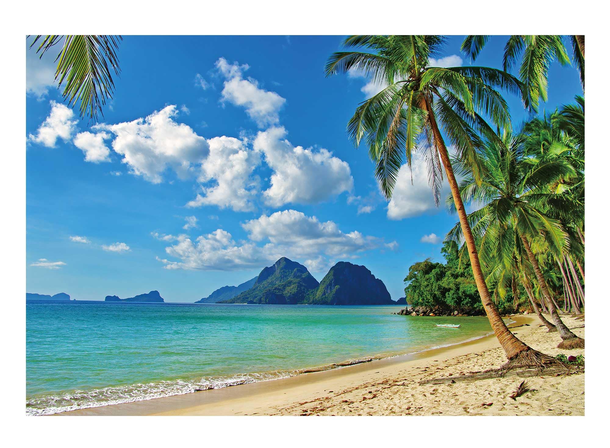 Funnytree 7x5ft Summer Tropical Beach Backdrop - Vibrant Seaside Photography Background with Palm Trees, Blue Ocean & Sunny Sky - Perfect for Luau Party Decor, Photo Booth Props & Studio Shoots | Great for Hawaiian Themed Events, Vacation Photos & Tropical Birthday Celebrations