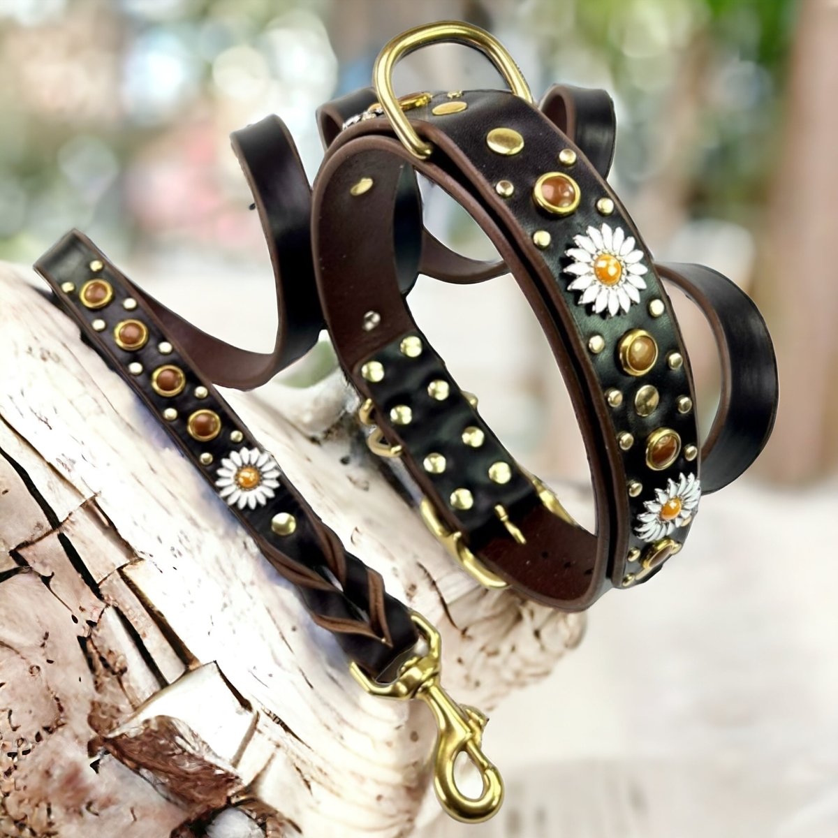 Premium Genuine Leather Dog Collar - Kalina Collection | Adjustable & Durable Pet Collar for Small Medium Large Dogs | Perfect for Daily Walks, Training & Outdoor Adventures