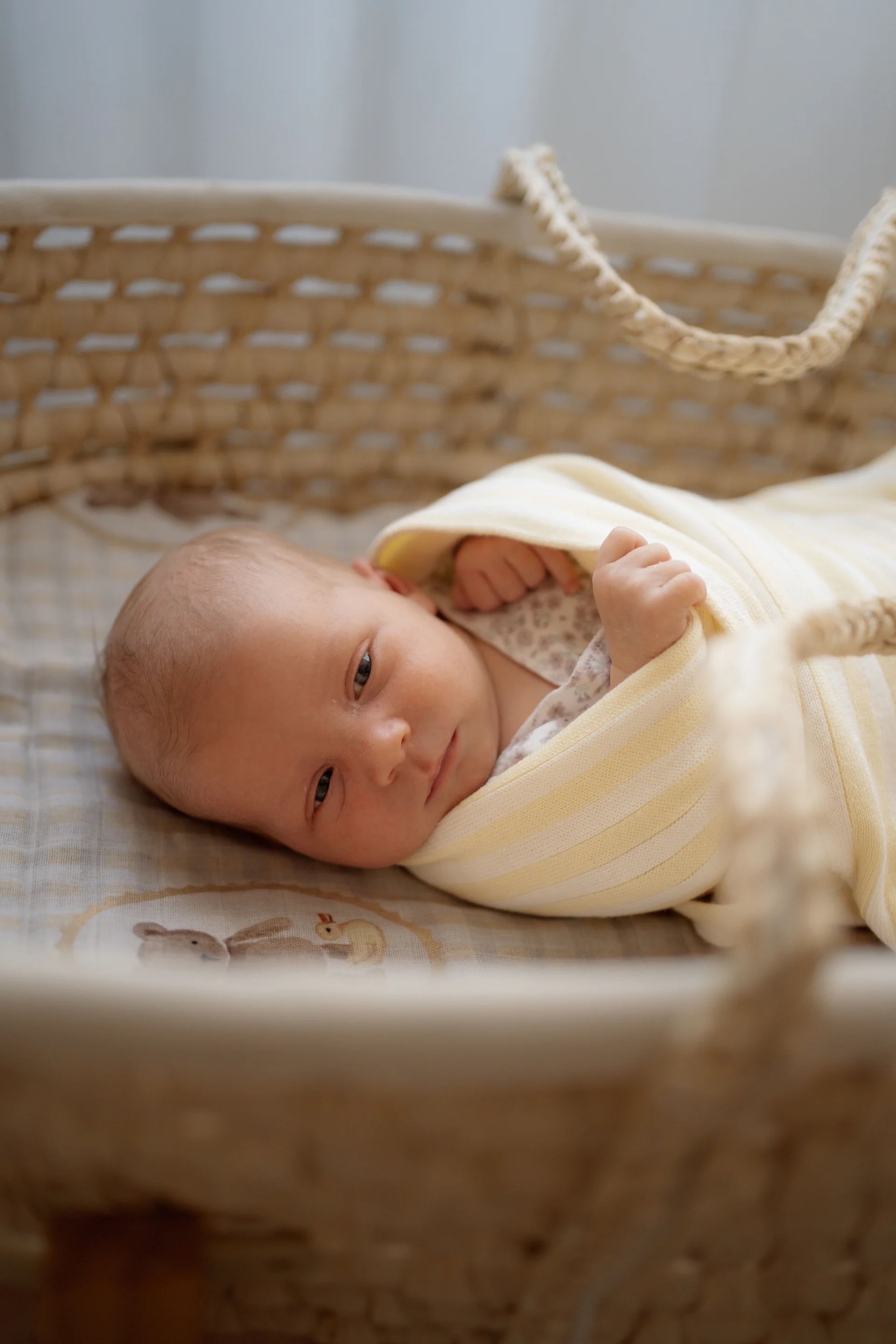 Pop Ya Tot Organic Cotton Baby Blanket - Soft & Hypoallergenic for Newborns & Toddlers - Lemon Carnival Print - Perfect for Nursery, Swaddling & Stroller Use