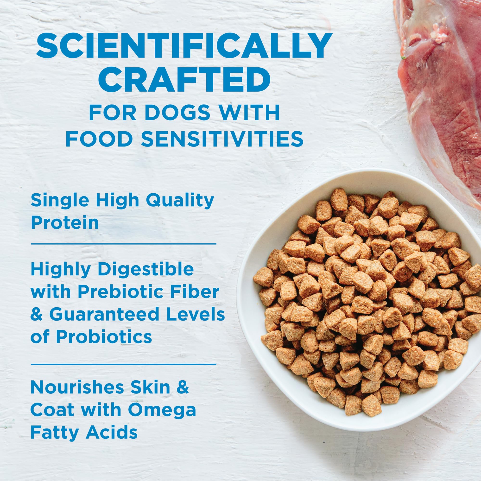 Wellness Simple Natural Limited-Ingredient Grain-Free Dry Dog Food for Small Breeds - Salmon & Potato Recipe (10.5 lb Bag) | Easy Digestible for Sensitive Stomachs, Promotes Healthy Skin & Coat | Perfect for Picky Eaters & Dogs with Food Allergies
