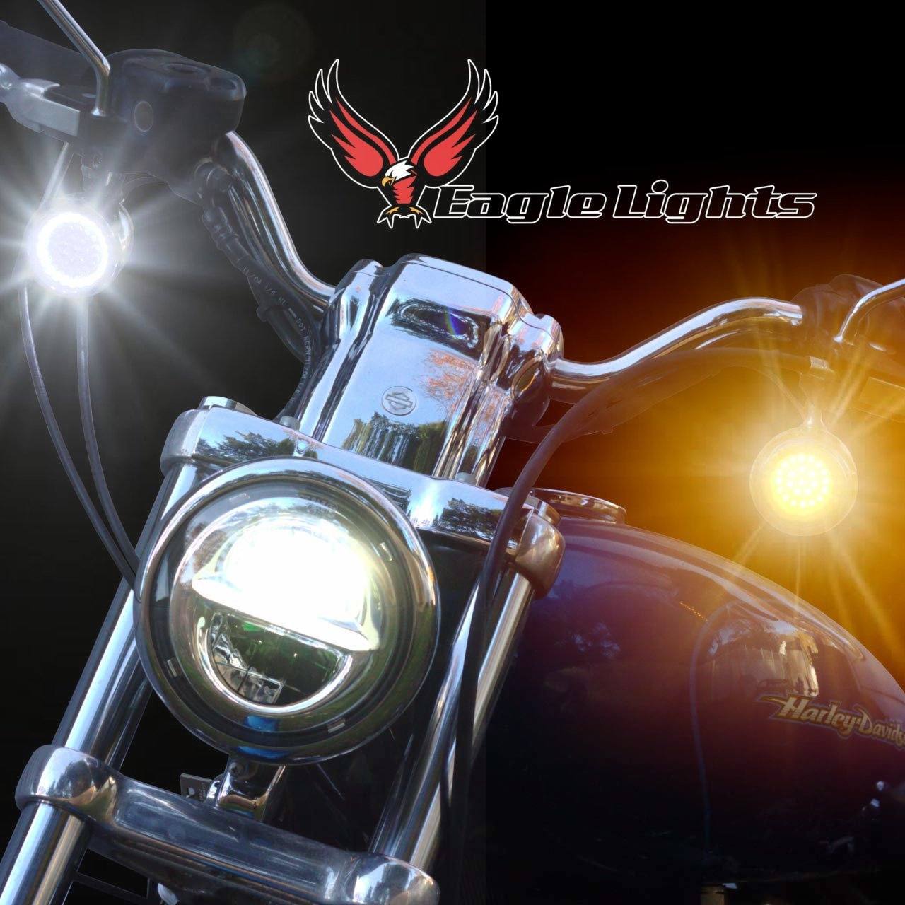 Eagle Lights 2