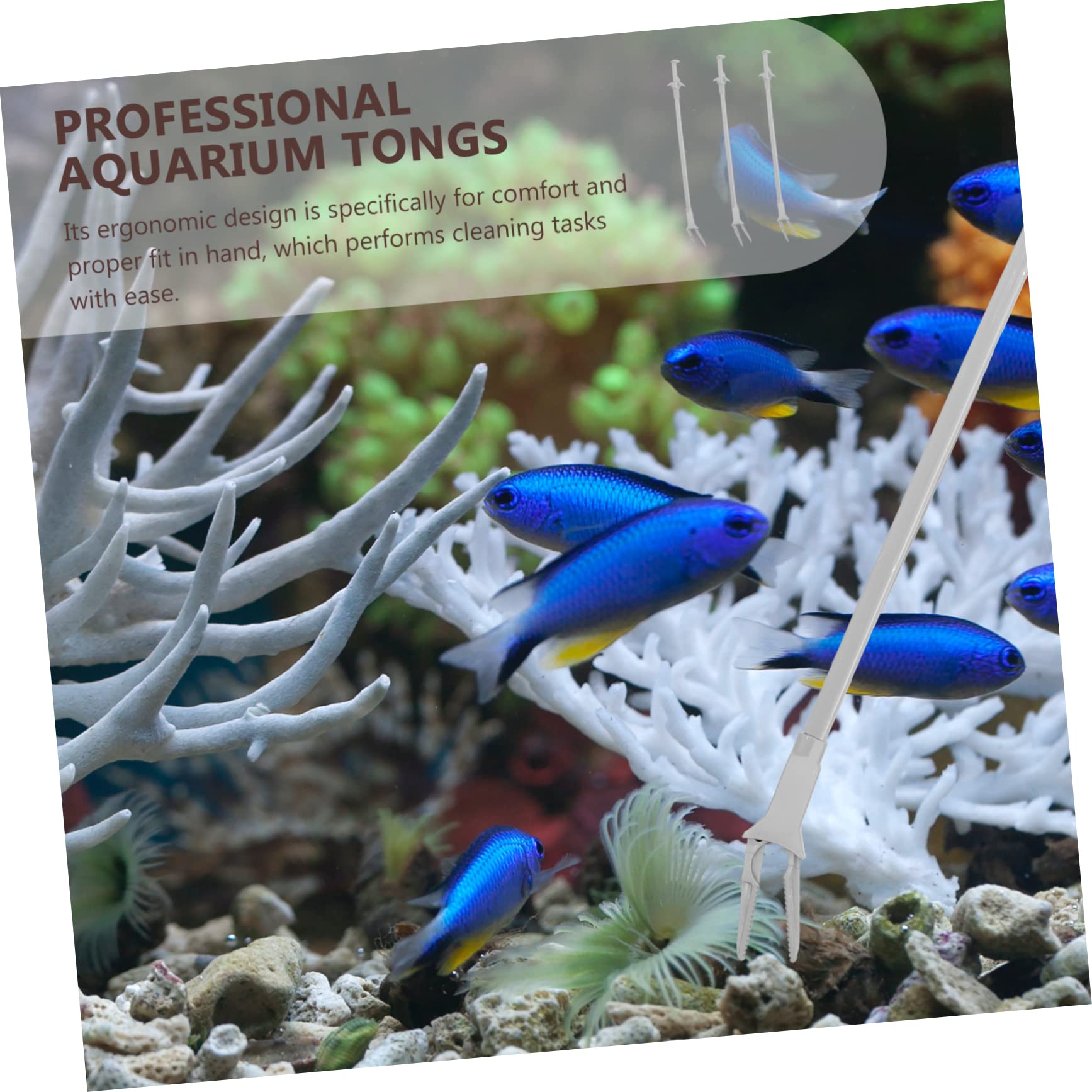 BCOATH 6 Pack Aquatic Plant Clips - Plastic Aquarium Feeding Tongs for Fish Tank, Terrarium, Glass Container - Perfect for Feeding, Trimming & Plant Maintenance in Home Aquariums