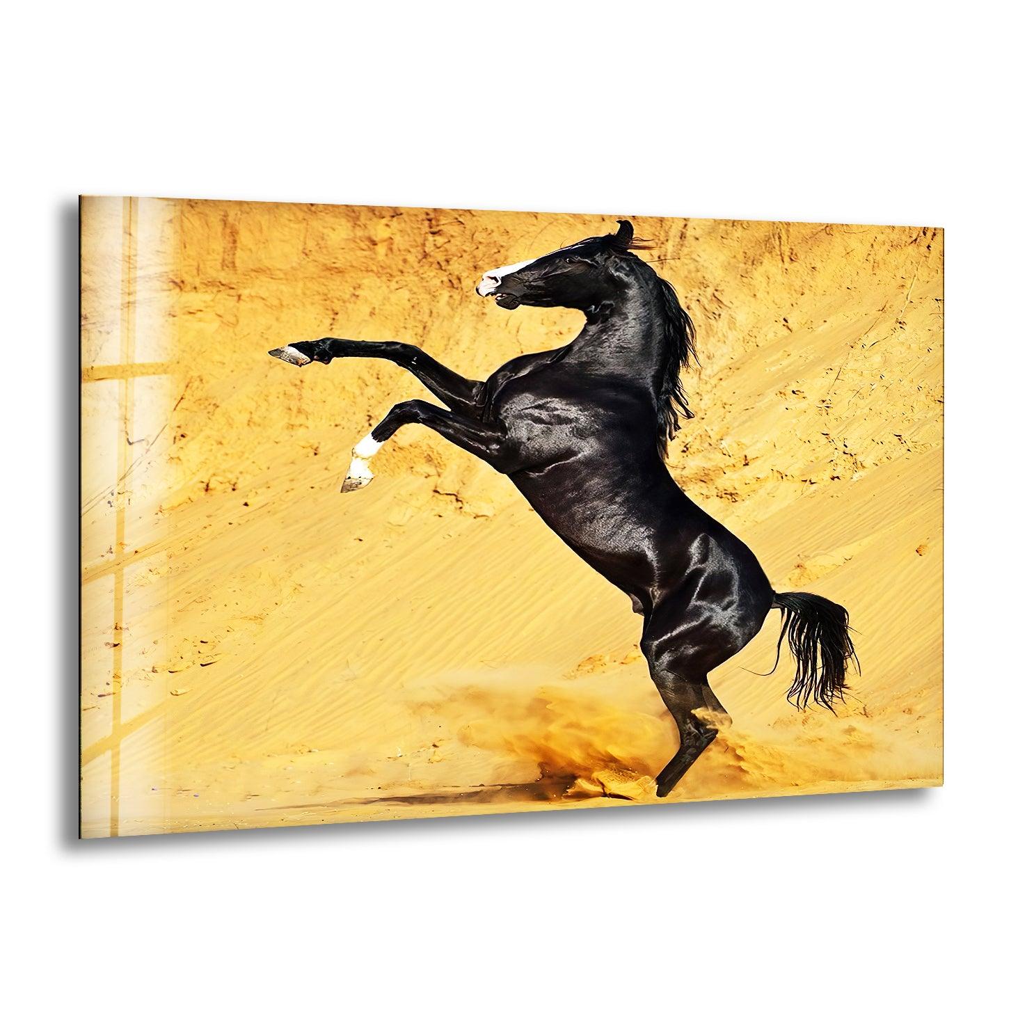 Black Horse on Desert Glass Wall Art - Stunning Home Decor for Living Room, Bedroom & Office | Modern Abstract Painting for Unique Interior Design