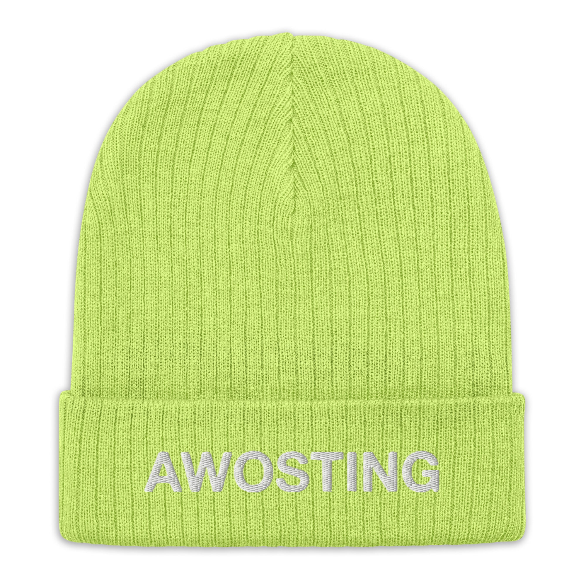 Awosting Embroidered Ribbed Knit Beanie Hat for Women & Men - Winter Warm Fleece Lined Skull Cap - Perfect for Skiing, Snowboarding & Outdoor Activities