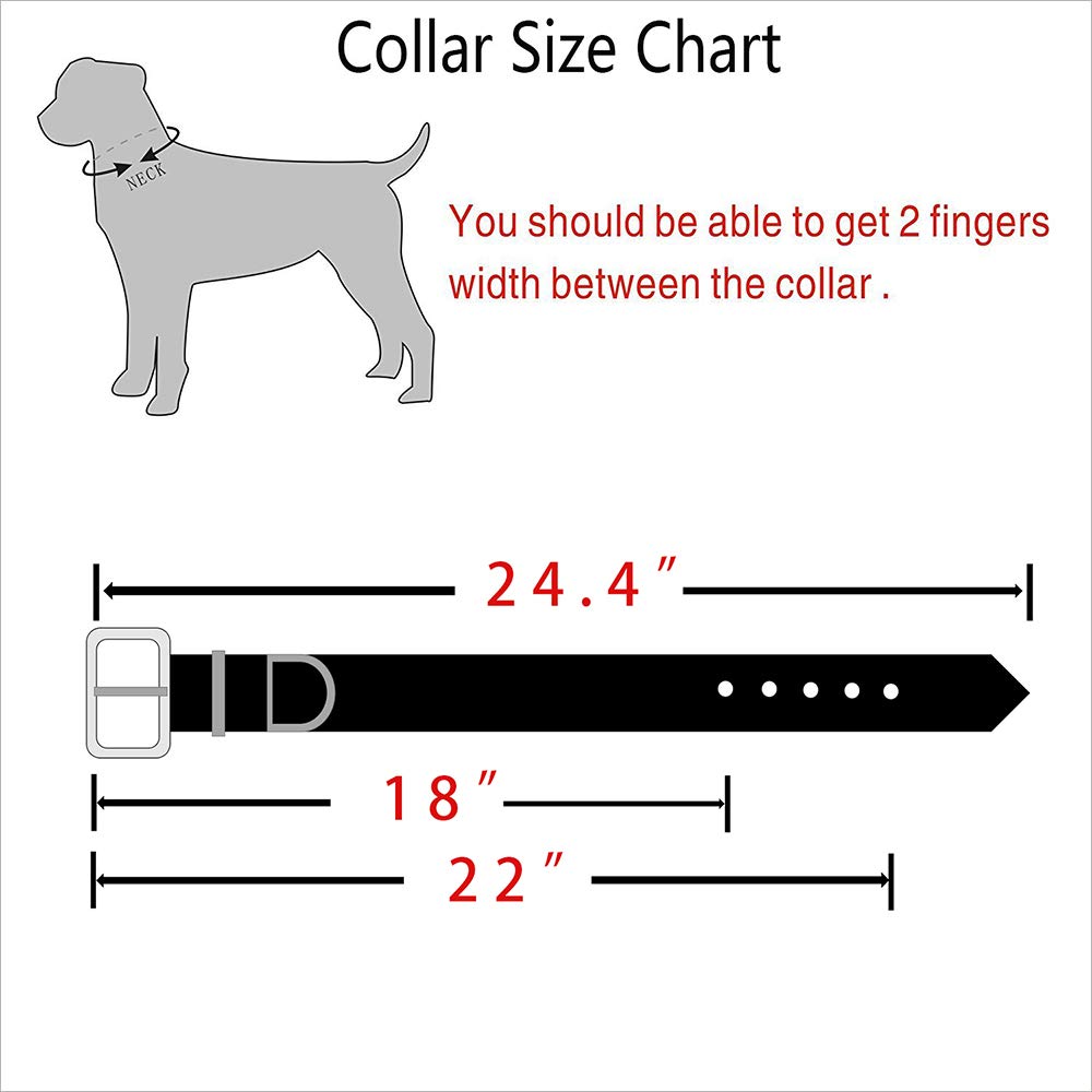 Premium Genuine Leather Dog Collar - Heavy Duty Cowhide with Rust-Proof Hardware for Medium & Large Breeds - Perfect for Training, Walking & Outdoor Adventures