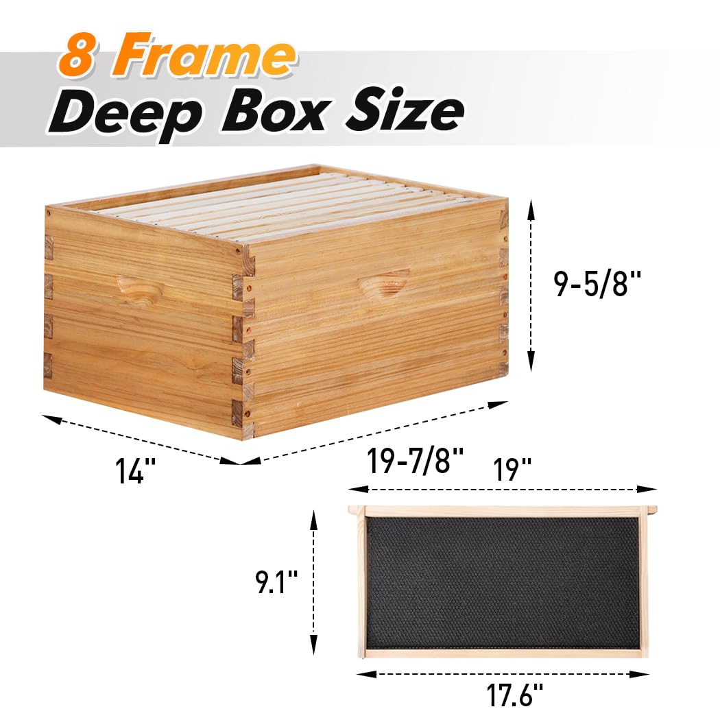 POLLIBEE 8 Frame Beehive Starter Kit - Unassembled Langstroth Bee Hive with 1 Deep & 1 Medium Box, Beeswax Coated Frames & Foundation - Complete Beekeeping Supplies for Beginners | Perfect for Backyard Honey Production & Pollination