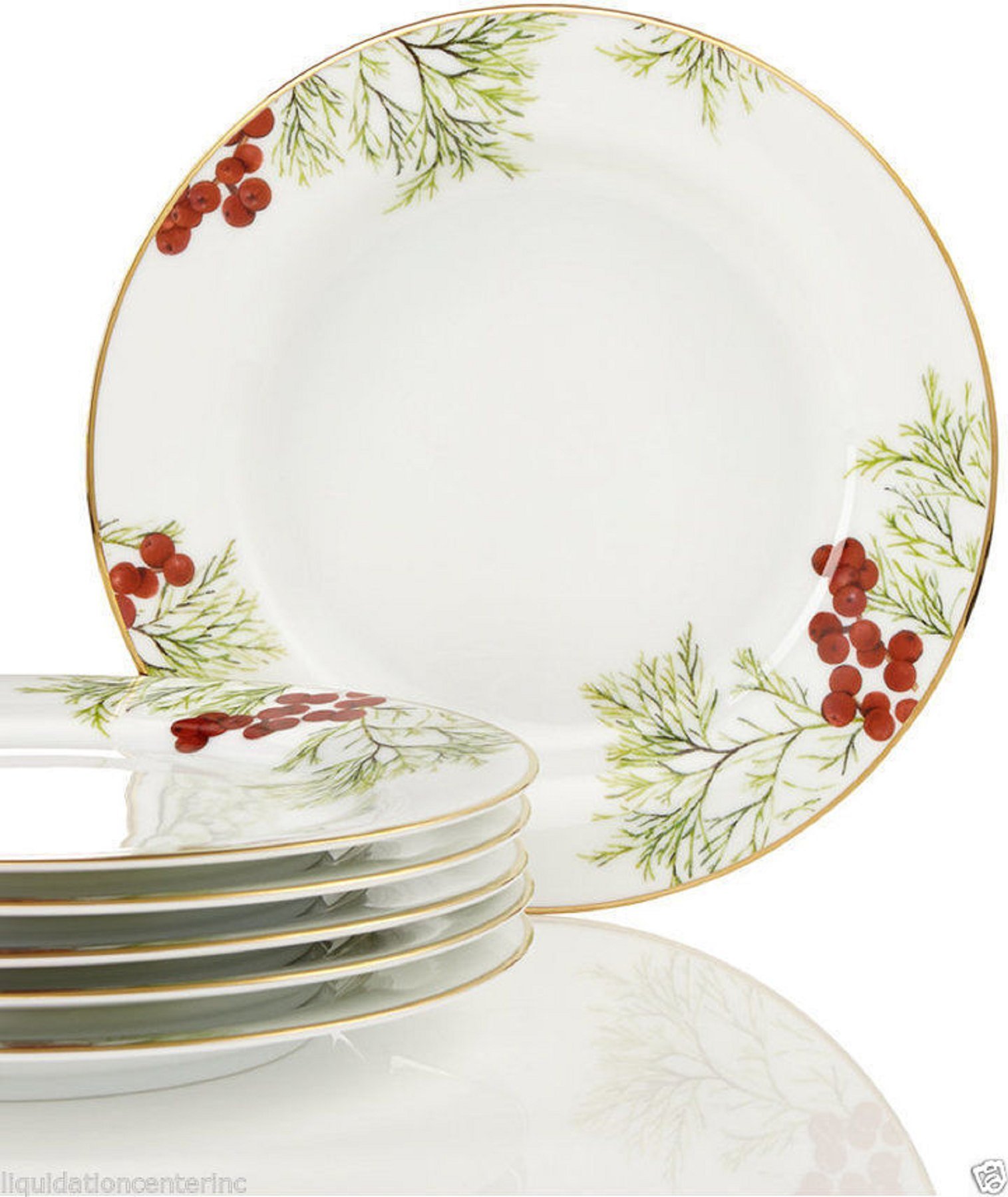 Charter Club Red Berry Set of 6 Salad Plates - Elegant Dinnerware for Holiday Entertaining & Everyday Dining - Perfect for Thanksgiving, Christmas & Family Gatherings