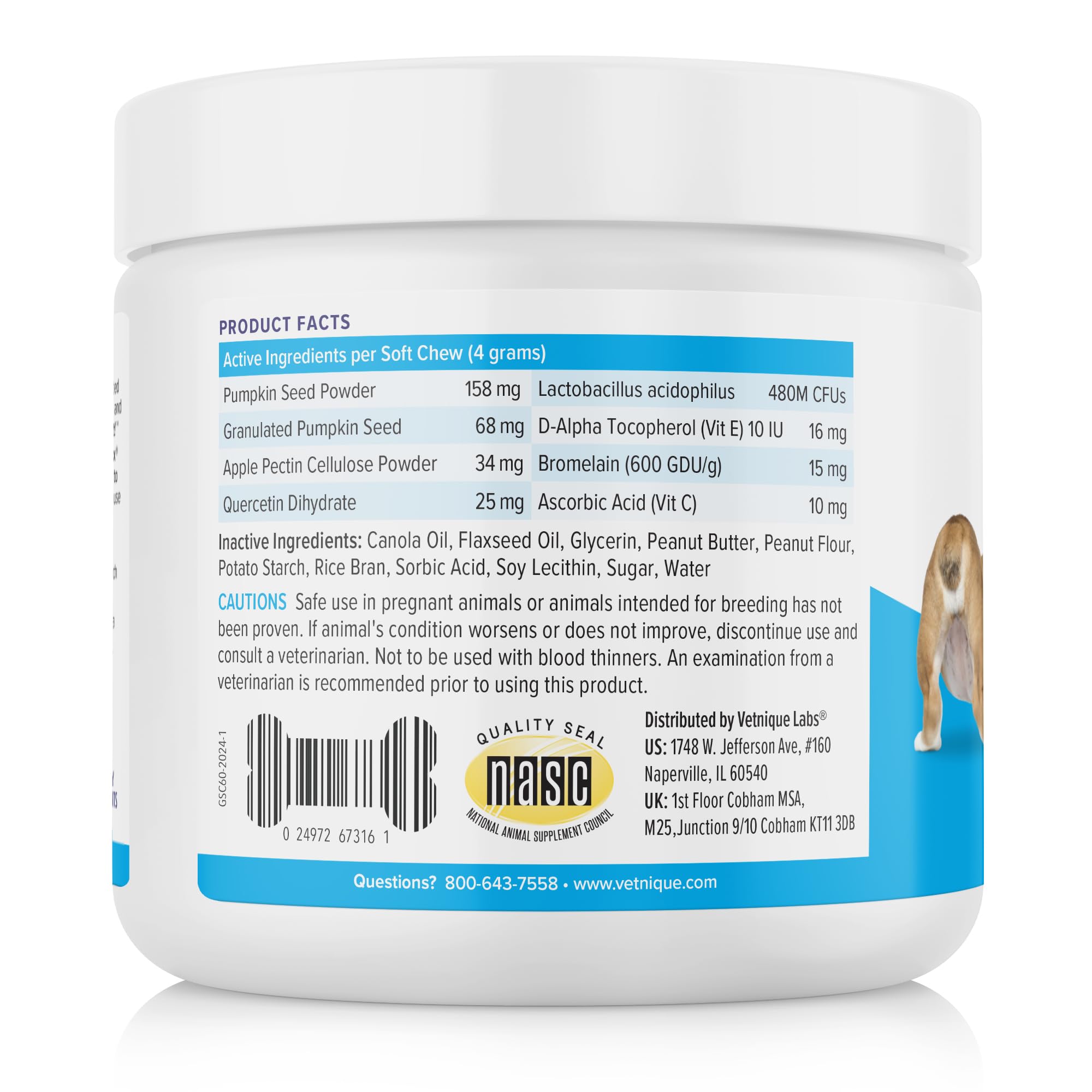 Vetnique Labs Glandex Anal Gland Soft Chew Treats for Dogs - Digestive Enzymes, Probiotics & Fiber Supplement with Pumpkin - Peanut Butter Flavor (60 Count) - Supports Anal Gland Health & Reduces Scooting - Perfect for Digestive Support & Daily Treats