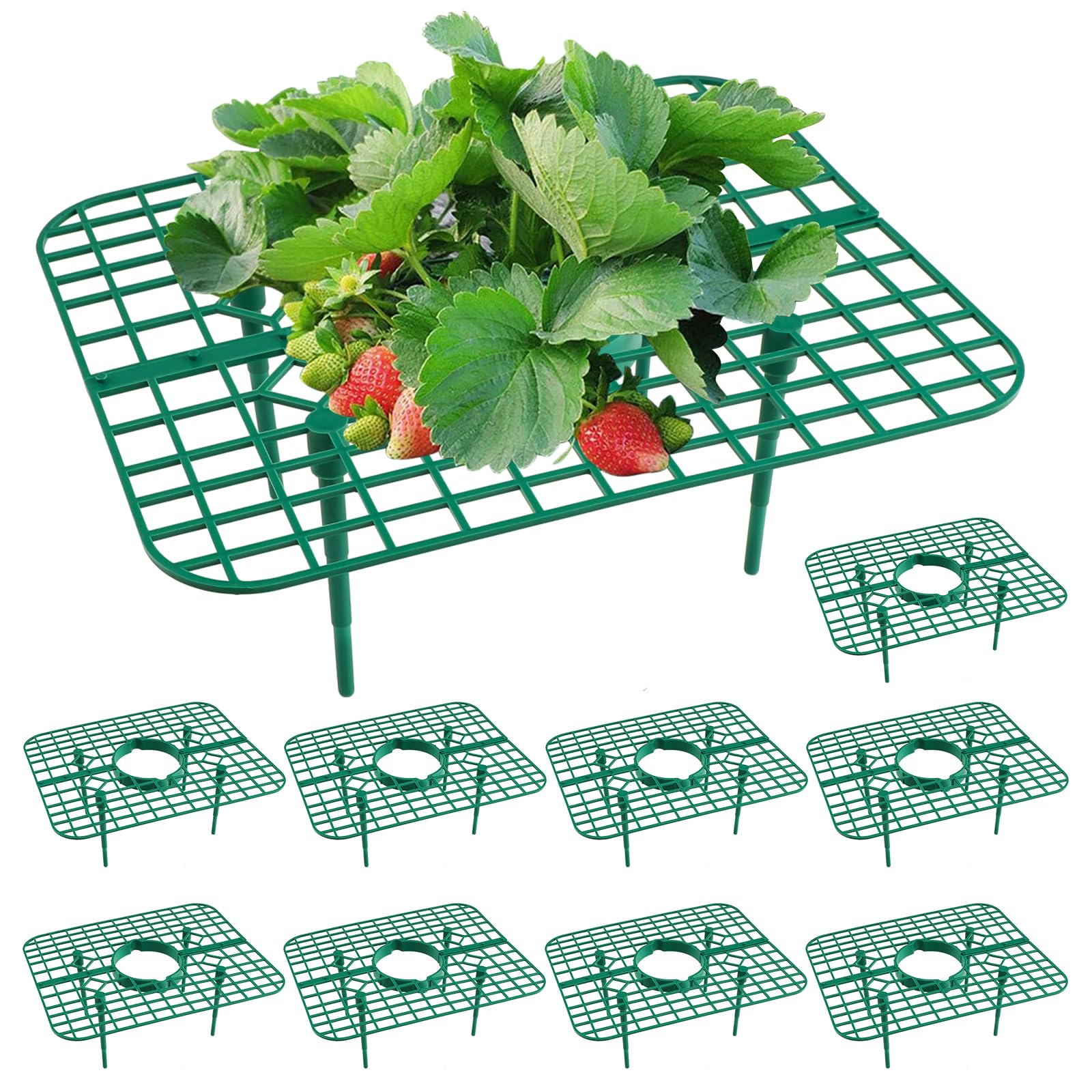 10 Pack Strawberry Plant Supports - Heavy Duty Metal Growing Stands for Healthy Strawberry Plants | Keeps Berries Clean & Off the Ground | Ideal for Garden, Raised Beds & Hydroponic Systems