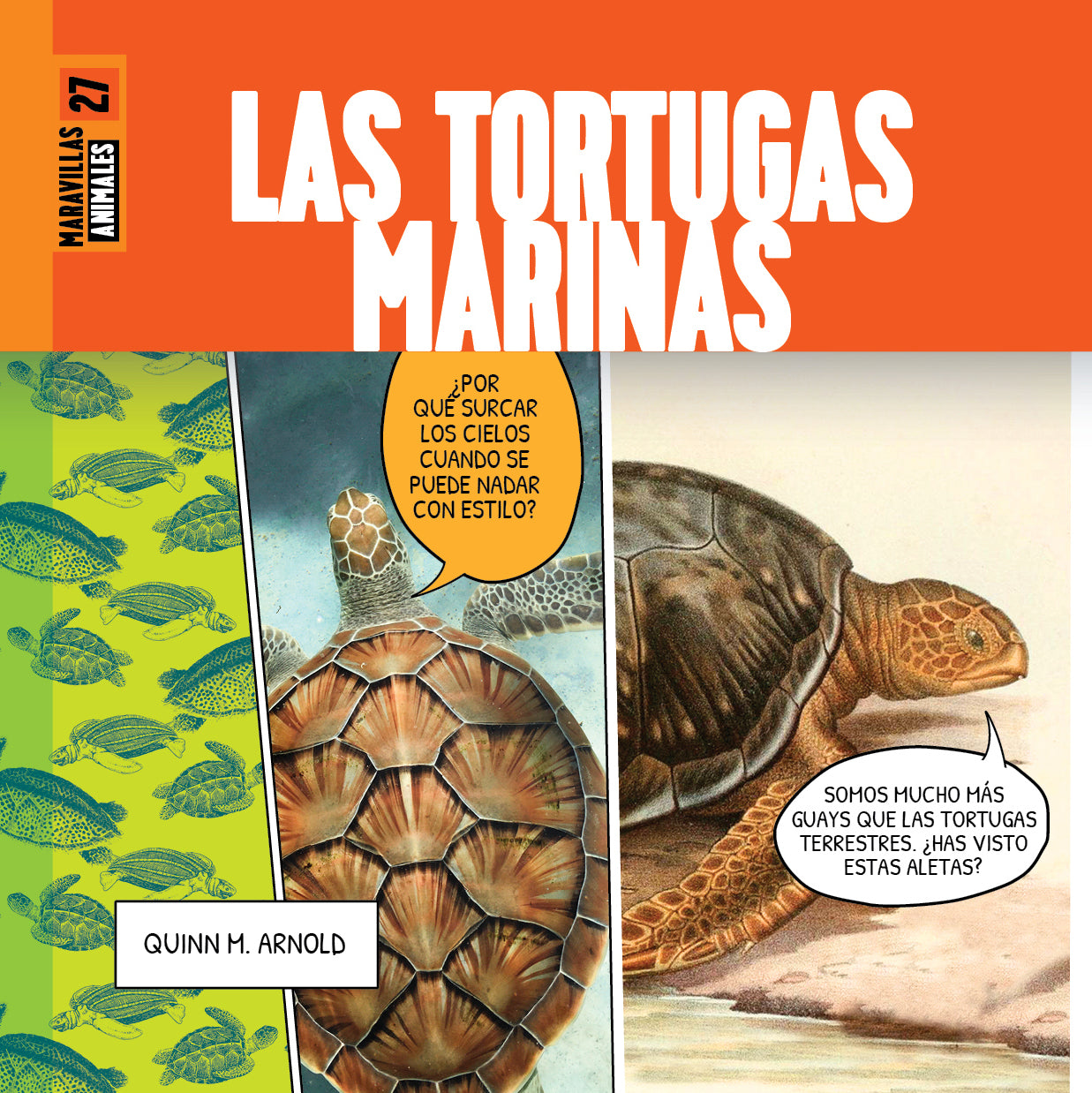 Sea Turtles - Marine Life Decor, Educational Toys & Gifts for Ocean Lovers | Perfect for Beach Themed Rooms, Classroom Learning & Conservation Awareness