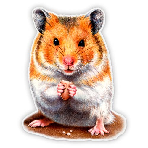 5 Inch Vinyl Hamster Sticker - Waterproof Decal for Car, Laptop, iPad - Cute Pet Decor for Kids Room, School Supplies & DIY Crafts